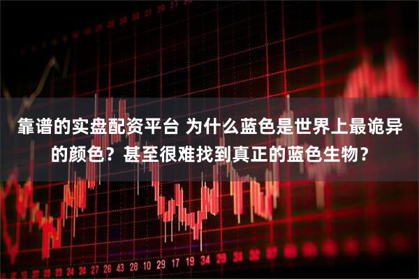 靠谱的实盘配资平台 为什么蓝色是世界上最诡异的颜色？甚至很难找到真正的蓝色生物？